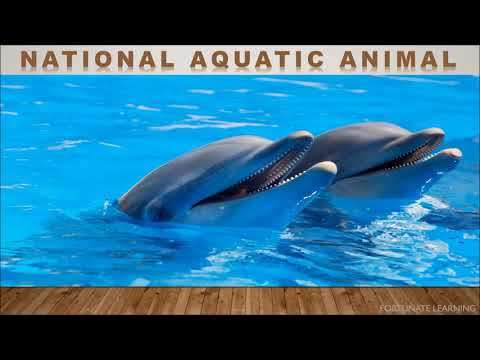 National Aquatic Animal | Aquatic Animal of India | Ganges River Dolphin |  - YouTube