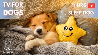 3 Hours Calming TV for Dogs: Entertaining Video to Cure Separation Anxiety + Relaxing Dog Music !