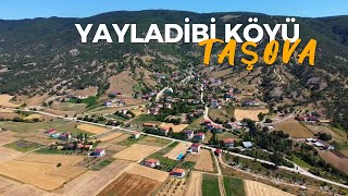YAYLADİBİ KÖYÜ ( Halamaz ) - 34 // Amasya #keşfet #keşfetteyiz #village