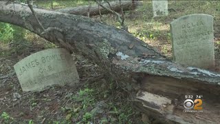 Neighbors Working To Restore Overgrown NJ Cemetery