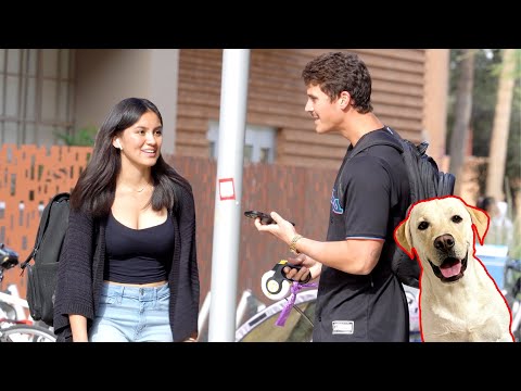 PICKING UP GIRLS WITH MY DOG!!