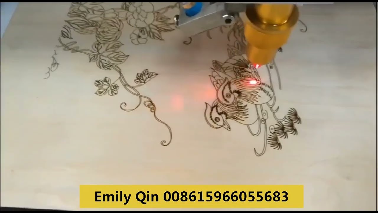 CO2 laser engraving machine engrave pictures on PVC Board Emily Qin