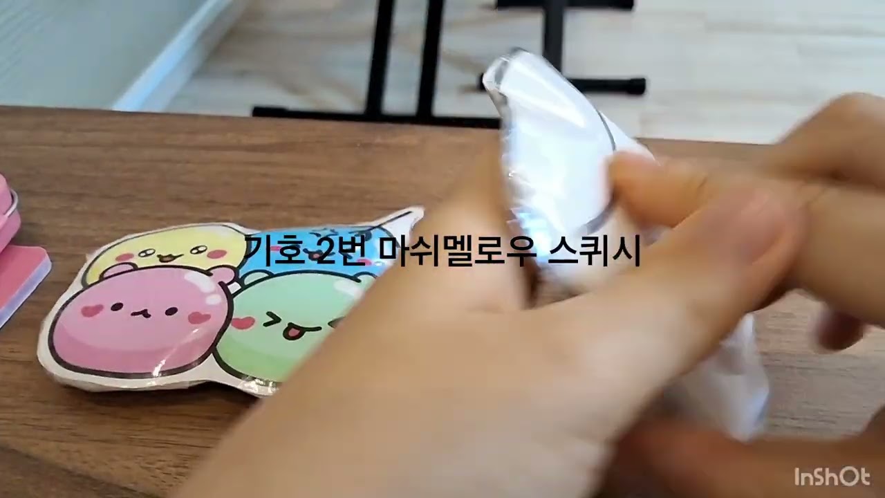 코코쮸 스퀴시 2