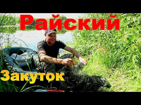 Видео: РЫБАЛКА С НОЧЁВКОЙ В ЧЁТКОМ МЕСТЕ.РЫБАЛКА НА СПИННИНГ И УДОЧКУ.