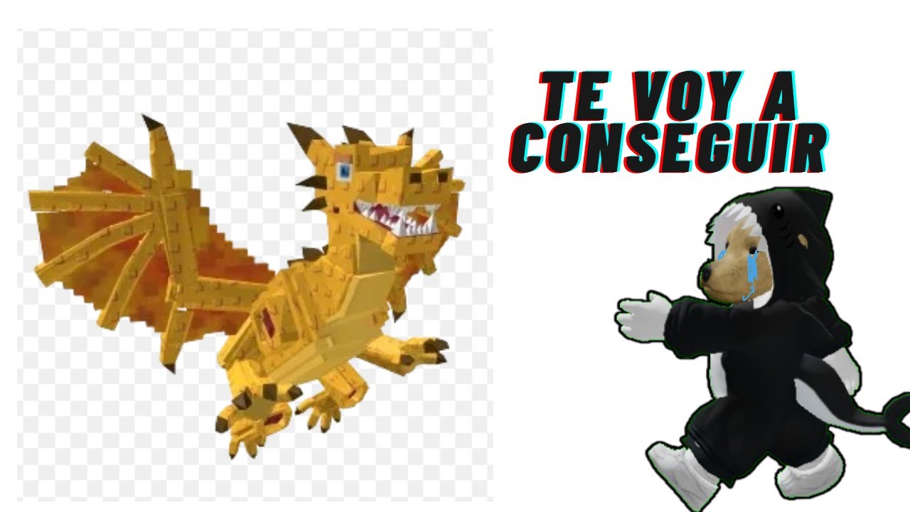 ASIEDNO PVP CON SEGUIDORES😎😎