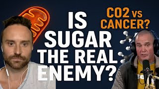 The Truth About Sugar, Cancer & Digestion | Mark Bell x Amplified Vitality