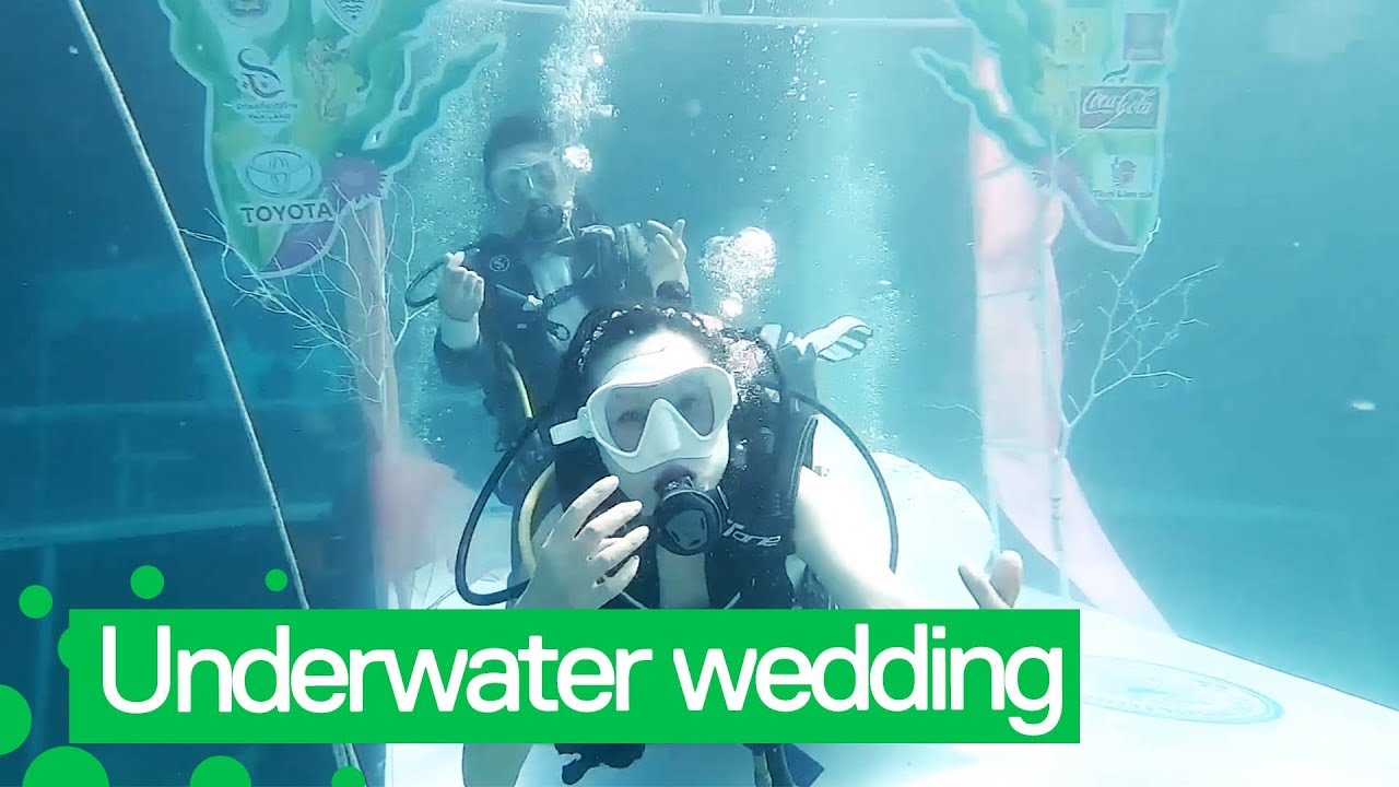 Couples get Married in Underwater Wedding Ceremony YouTube