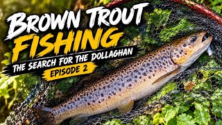 Brown Trout fishing, The Search for the Dollaghan - Episode 2