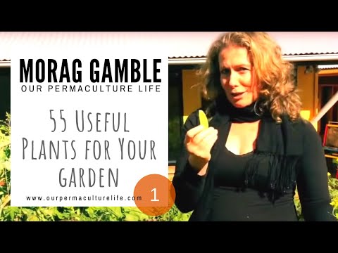 55 Useful Plants For Your Garden  - https://moraggamble.com