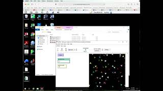 How to Use the Apporto Virtual Desktop