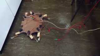 Hexapod Alpha Movement