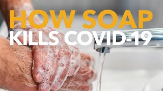 UCR biomedical scientist explains how soap kills the coronavirus