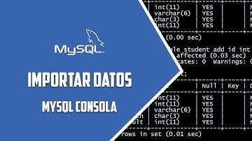MYSQL consola – Importar datos – Video 77