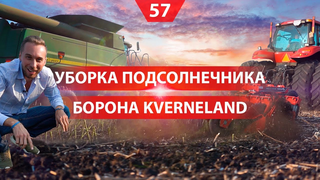 Уборка подсолнечника. Посев пшеницы. Дисковая борона Kverneland Qualidisc