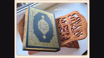 سورة النجم   القارئ هاني الرفاعي