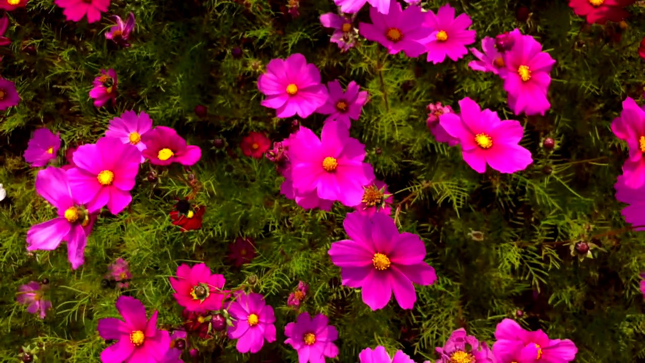 徳島で外壁塗装 屋根塗装 雨漏り修理するなら徳島で一番安心な外壁屋根塗装専門店中山コーティングへ