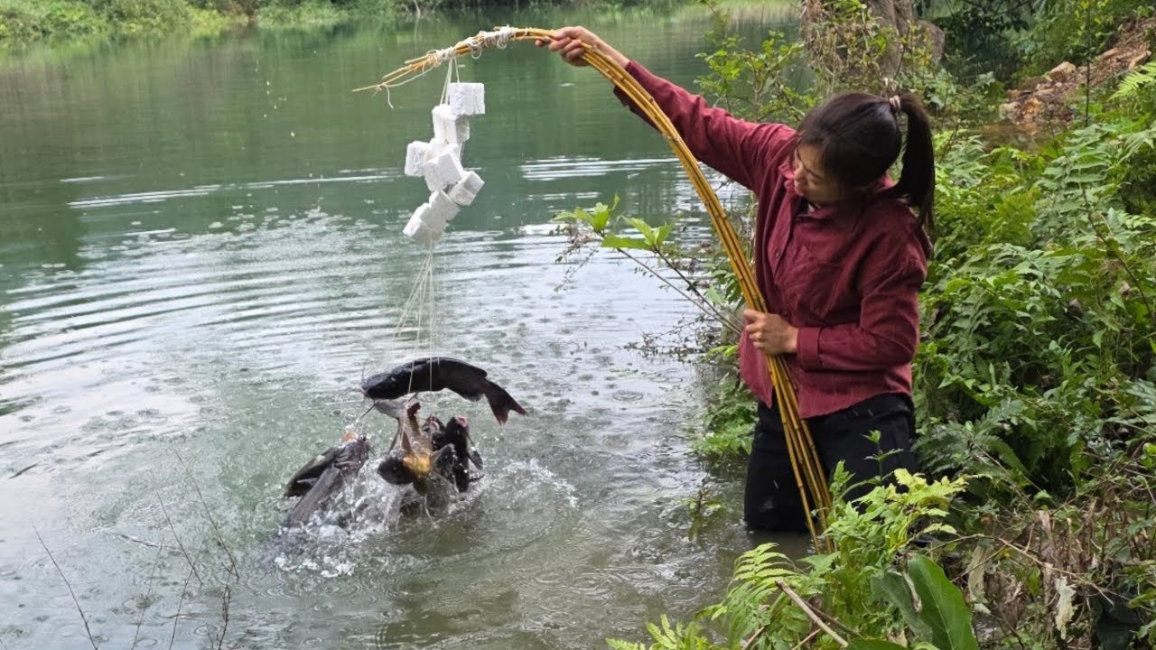 Diep's fishing skills, method of fishing with small bamboo poles to catch carp and catfish for sale.