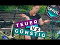 Gravelbike Kauftipps | Teuer vs Günstig | MTBTravelGirl