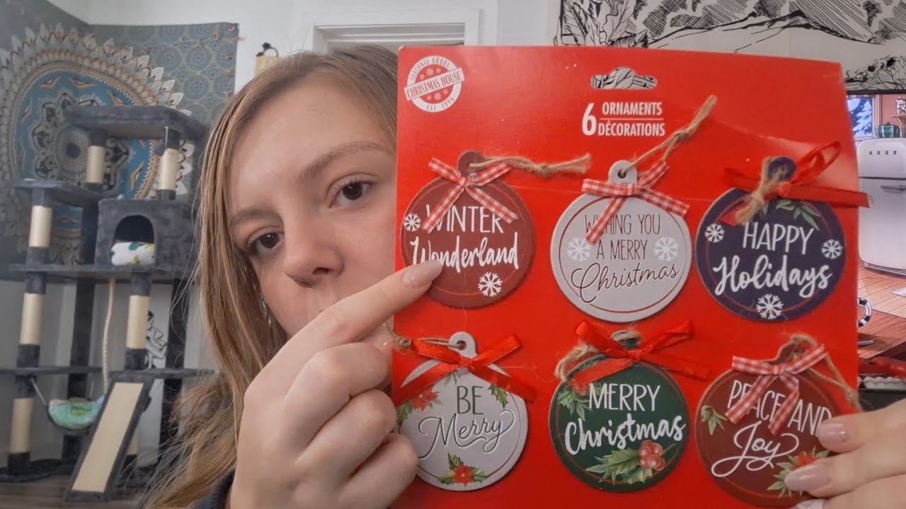 ASMR- Dollar Tree Haul with Rambling Lofi big haul 