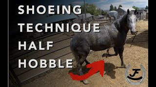Shoeing Technique Half Hobble - RJF