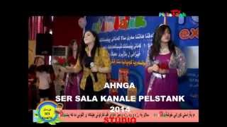 Silan Hejar 2014 Ser Sala Kenale Pelıstank