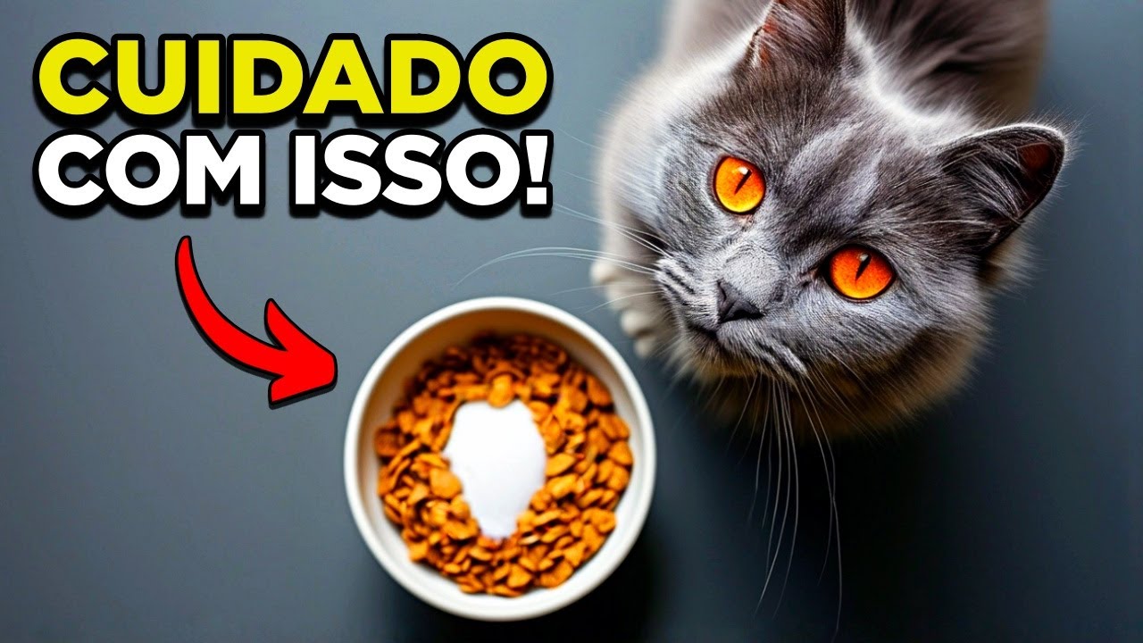 O Verdadeiro Motivo pelo qual Seu Gato DEIXA COMIDA NO PRATO