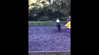 Charlie flatwork