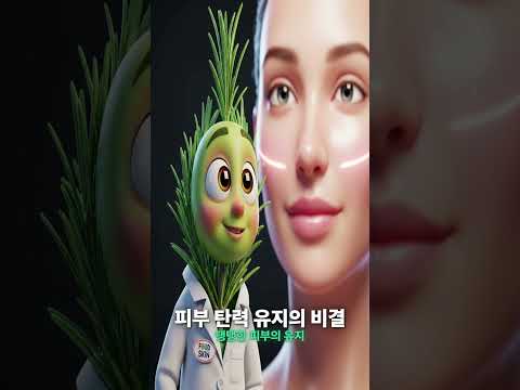🌿로즈마리V3 피부 탄력과 뇌 혈류 개선 효과와 사용법 #로즈마리효능