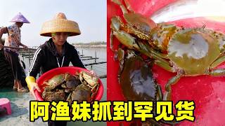 Download Lagu 网笼钻进罕见货，阿渔妹狂问值多少？渔爸的手势让她无法淡定【阿渔妹】 MP3