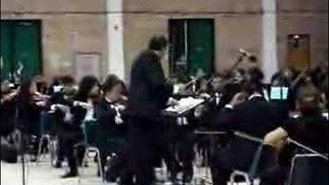 Finale from Serenade for Strings - Tchaikovsky  (2008)