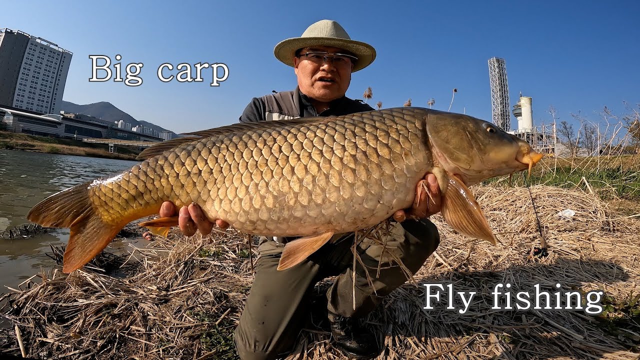 2022 Spring Carp Fly Fishing ( 2022년 봄 잉어 플라이 낚시 )