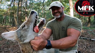 Calling Coyotes Near Working Folks! I Can't Believe This Stand Worked Out!!