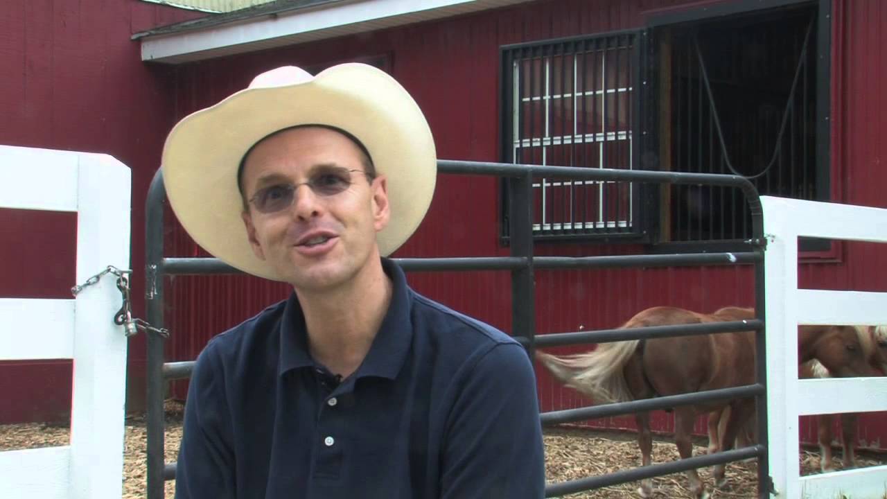 Green Chimneys Blue Skies (Part of Latham’s Help Me Help You series)