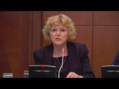 ფეხქვეშ გათელილი უფლებები | გაეროს წარმომადგენლის ვიზიტი საქართველოში და მისი კრიტიკული ანგარიში