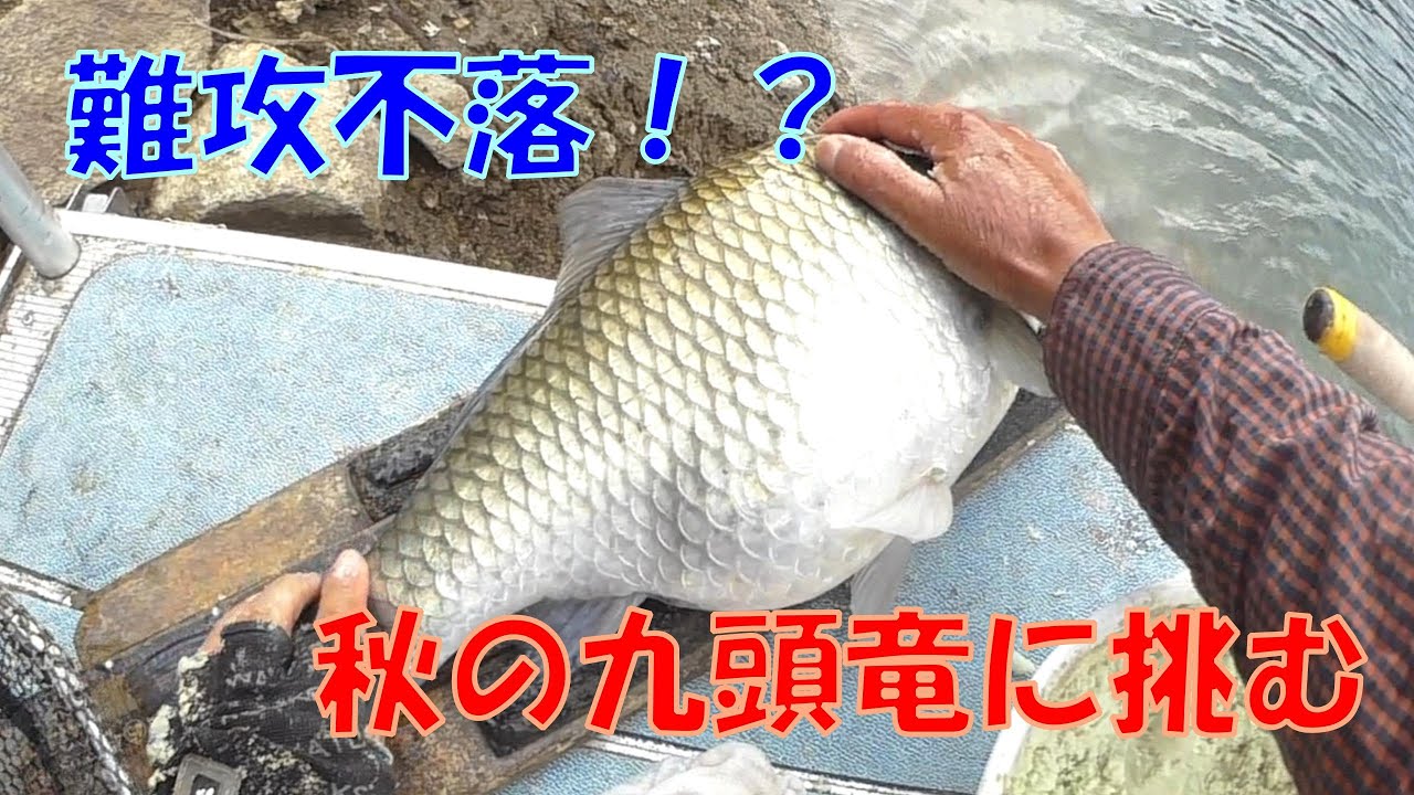 タナが浅過ぎる！不甲斐なさにぼやくヘラ師［九頭竜ダム編６］