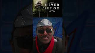 NEVER LET GO - ENDING EXPLAINED?!