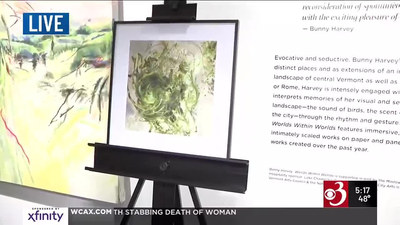 Burlington City Arts Bash underway