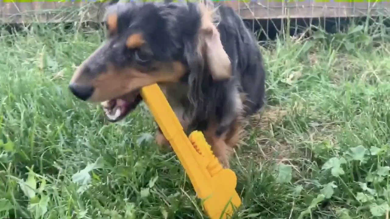 ID Pipe Wrench  Ultra Durable Nylon Dog Chew Toy for Aggressive Chewers