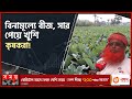 Found on YouTube: সরকারি প্রণোদনায় বাড়ছে অনাবাদি জমিতে চাষাবাদ | Bagerhat News | Vegetable Cultivation | Somoy TV