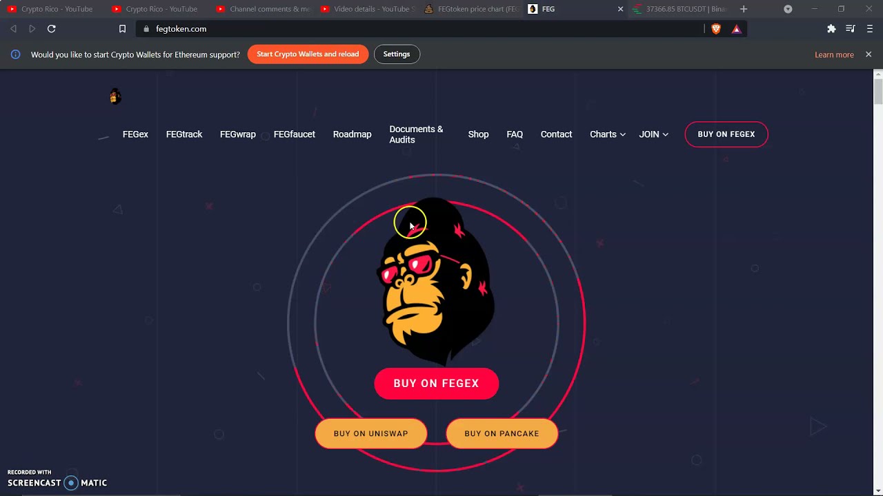 Price predictions Feg BULLISH ON FEG TOKEN!!!!