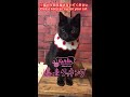 【かぎ針】猫のイチゴの編み方【爆速】How to crochet a cats' strawberry
