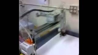 Eric Fennell -Lab 13-2 Pneumatic pick and place robot Wealth