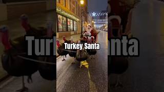Turkey Santa