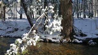 17 February 2024. Fishing Creek at Summer Mountain Road Bridge