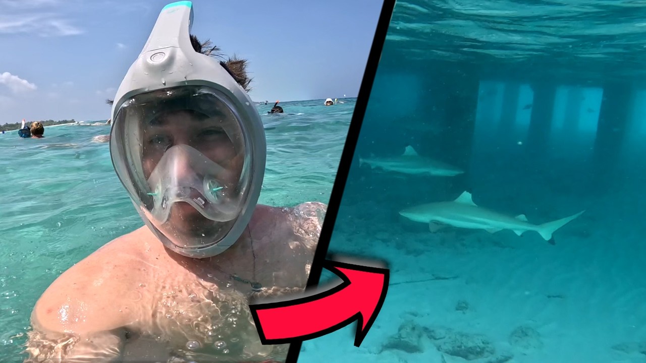 Am fost ATACAT de RECHINI in MALDIVE! #2