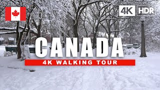 🇨🇦 Canada Snowfall City Walking Tour ❄️ Ottawa Centretown Byward Market Night Walk | 4K HDR 60fps
