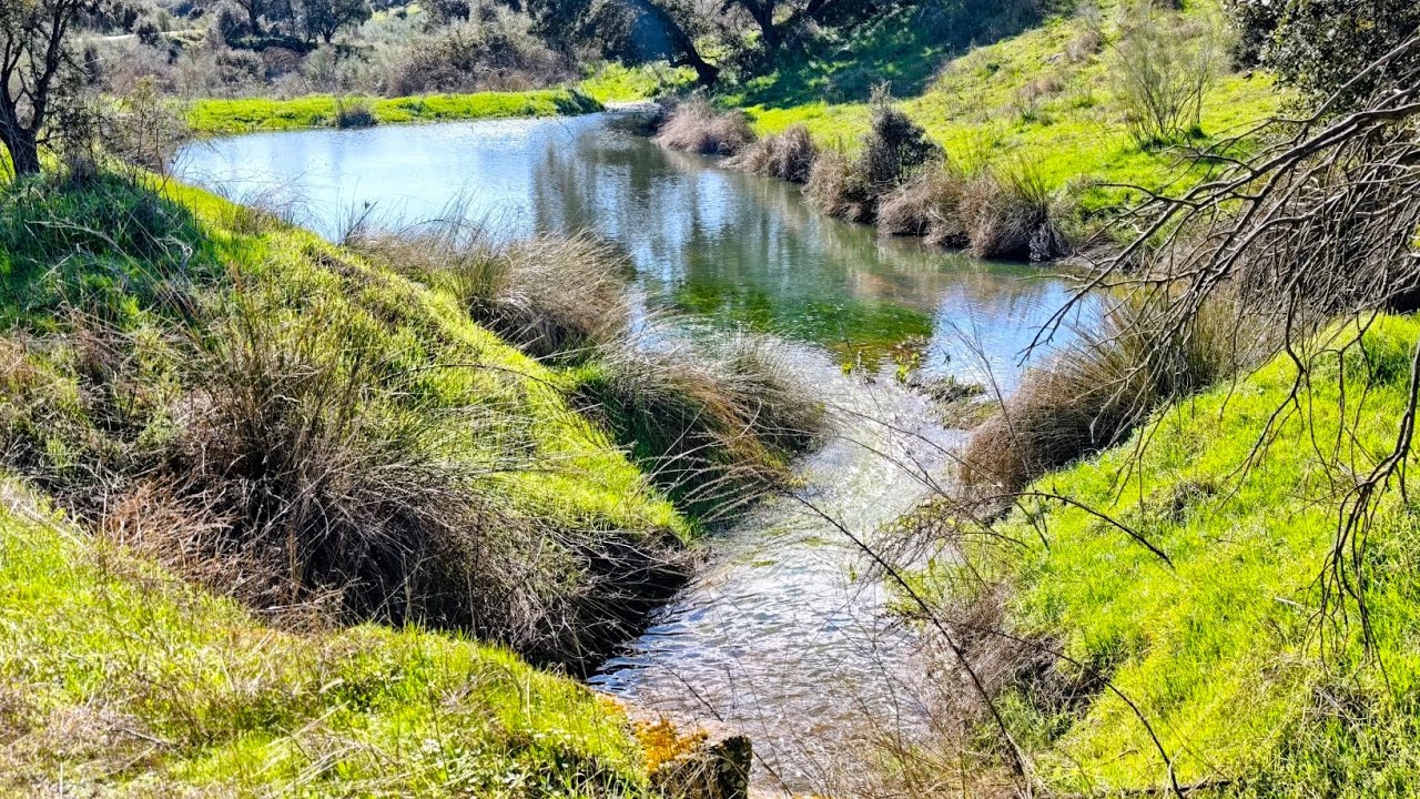 20260214. Valdeverdeja. Facciosa, Espejel, Fábrica.