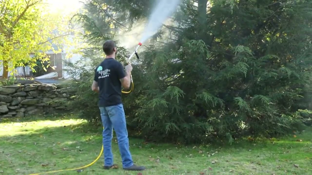 Green Valley Tree LLC - Plant Health Care