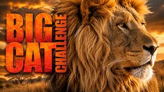 The Big Cat Challenge: Who is the Ultimate Predator? 🐈🐆🦁 #nature screenshot 3