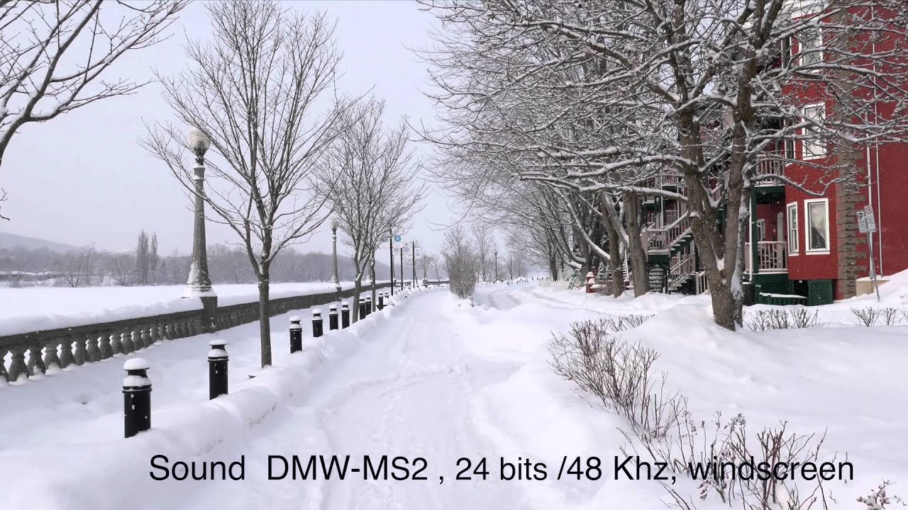 Audio test Zoom H5 ,24 bits : 96 Khz, low cut 98 Hz vs Panasonic DMW MS2 , 24 bits:48 Kh
